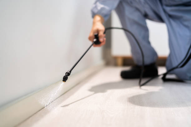 Licensed Pest Control service in Negaunee, MI - Show Me Pest Control