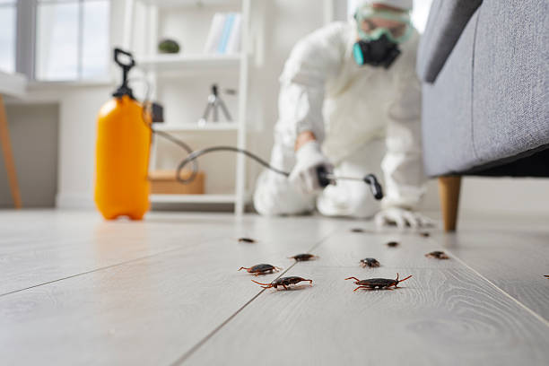 Commercial Rodent Management in Negaunee